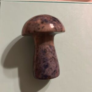 Stone mushroom